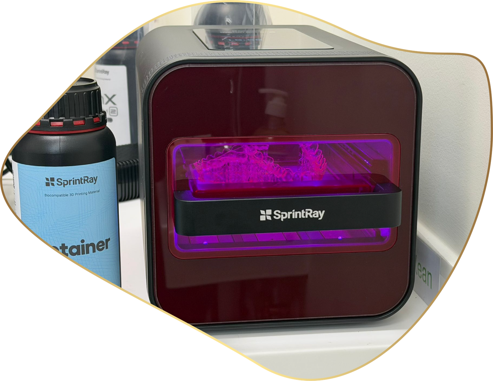 Description of Image